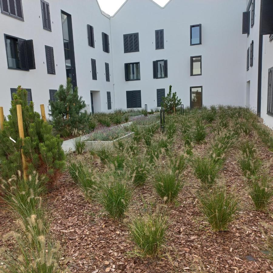 Apartament Orlando W Porto Leba 350M Od Morza מראה חיצוני תמונה