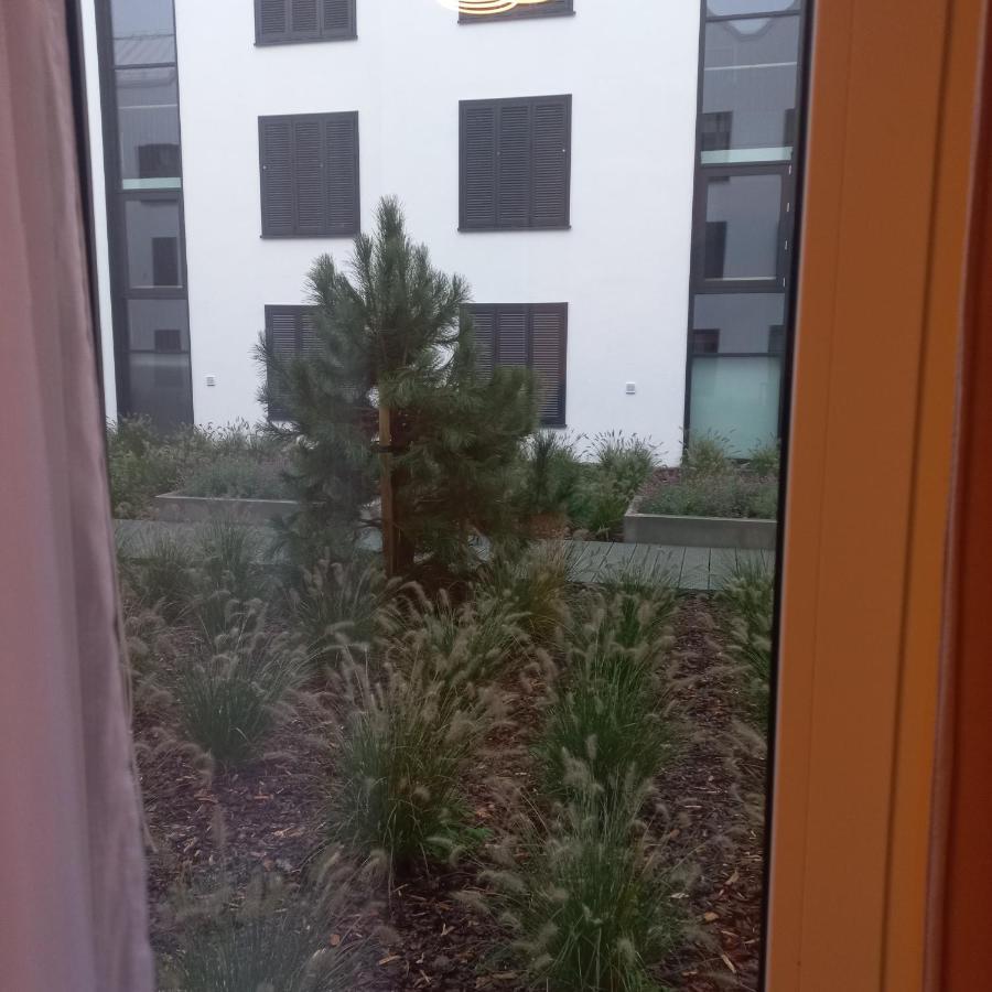 Apartament Orlando W Porto Leba 350M Od Morza מראה חיצוני תמונה